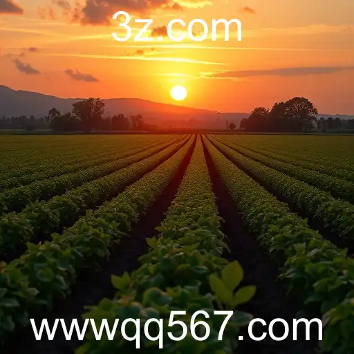 Tendências dos Jogos Online em 2025: O Caso QQ567